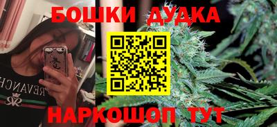 PSILOCYBIN Партизанск