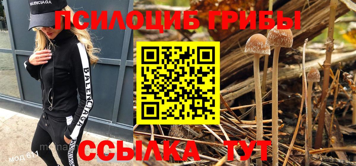 дарнет шоп  Вход с VPN  Псилоцибиновые грибы Magic Shrooms  Стрежевой  Псилоцибиновые грибы Cubensis 